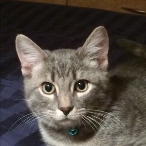 Meet your Posher, Lori